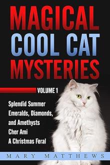 Magical Cool Cats Mysteries, Volume 1